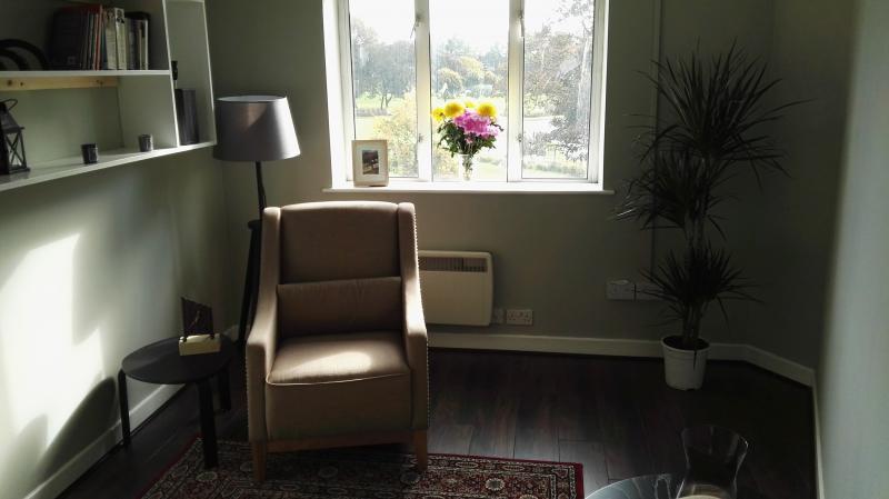 COUNSELLING & PSYCHOTHERAPY ROOM RENTAL DUBLIN